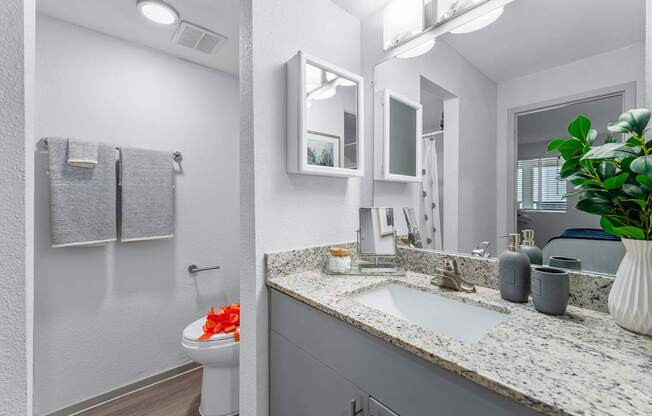 A bathroom with a toilet, sink, mirror, and a potted plant.