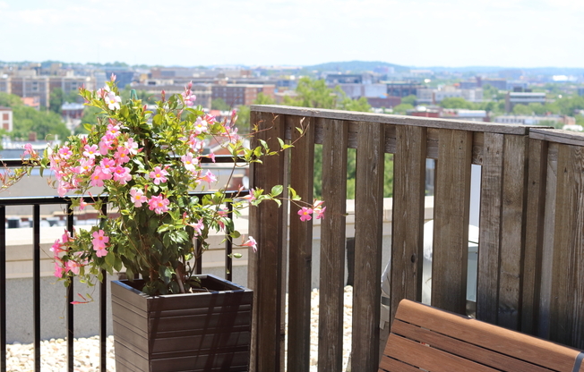 2 beds, 2 baths, 800 sqft, $3,495, Unit 403