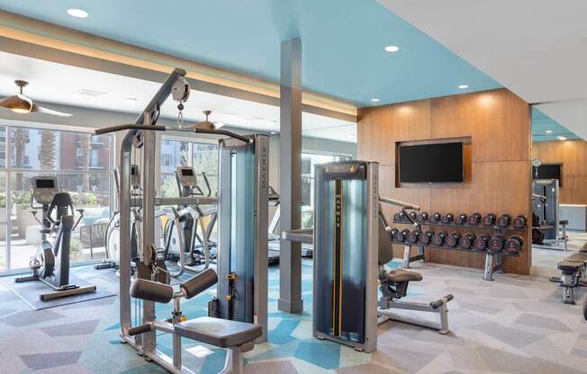 A gym with a variety of equipment including a squat rack, a bench, and a television.