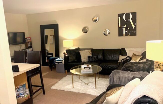 Lincoln Park Living!