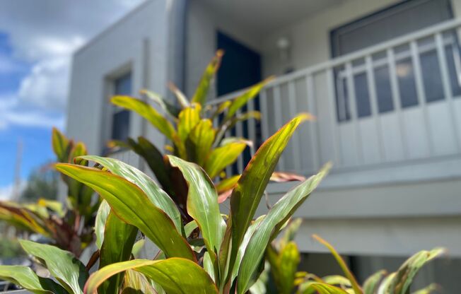 MOVE-IN SPECIAL - $500 CREDIT! 1BD/1BA Apartment off Curry Ford in Henley Park Apartments!