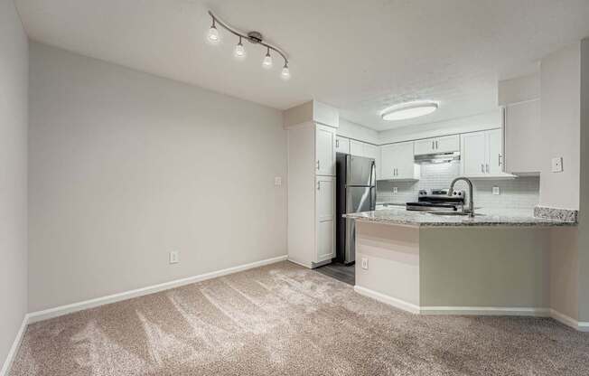 A kitchen area with a counter and cabinets.