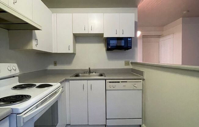 Studio, 1 bath, 464 sqft, $1,150, Unit 119