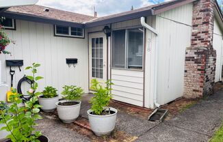 Bright 2 BR Carter Park Living with Fireplace, Carport, and Tons of Storage!