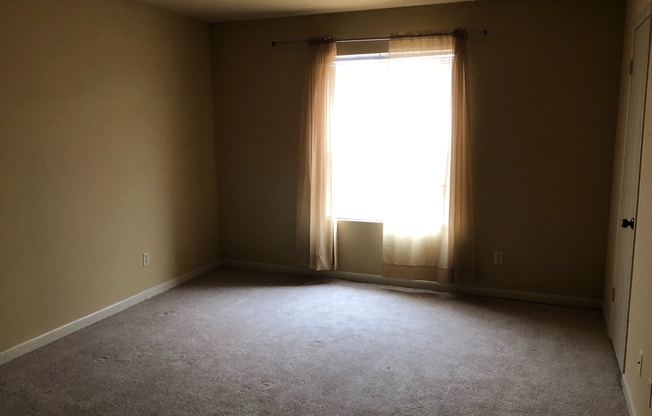 1 bed, 1 bath, $900