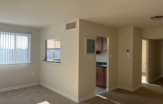 2 beds, 1 bath, 800 sqft, $1,700, Unit 2502-204