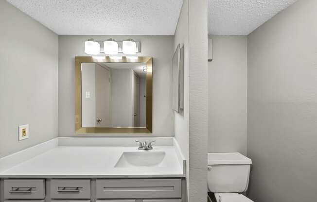 a bathroom with a sink toilet and mirror