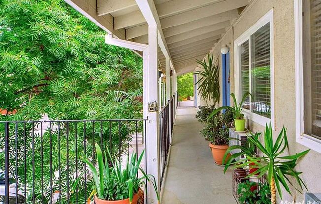 Now Renting: One Private Room in a Shared Apartment