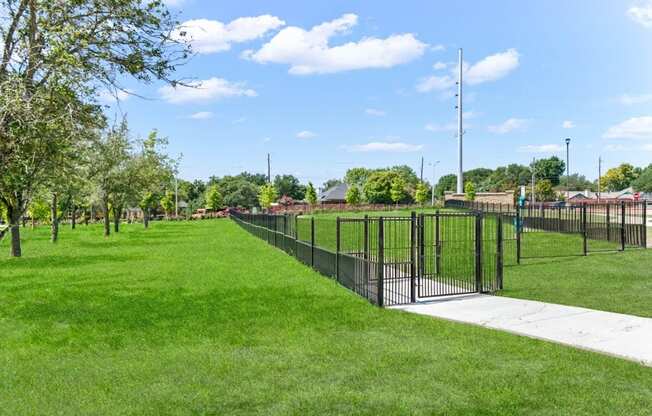 A black fence runs along a green field.