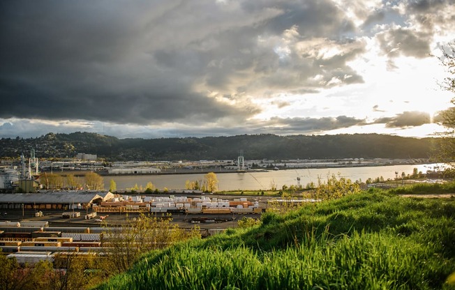 a view of a harbor with a river and a city in the background