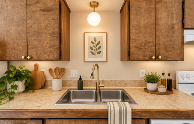 Oversized Renovated 1 Bed 1 Bath's In The Heart Of Everett!