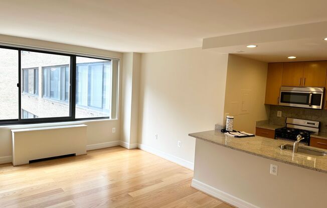 Studio, 1 bath, 440 sqft, $2,500, Unit 0719