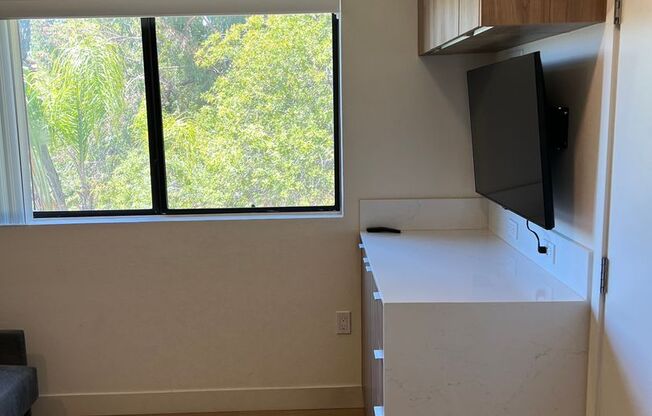 Studio, 1 bath, 181 sqft, $1,295, Unit 166C