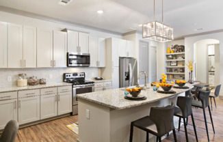 Elegant Kitchen