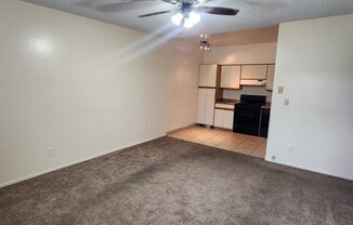 1041 N MESA DR