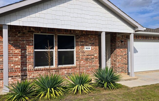 Springtown Rental!