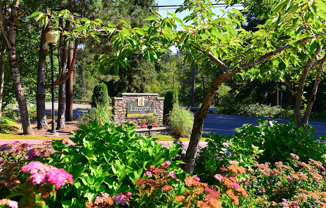 beautiful landscaping