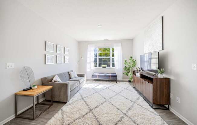 A living room with a grey couch, a wooden table, a rug, and a window with a view of the outside.
