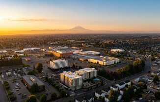 The Pacifica Apartments
