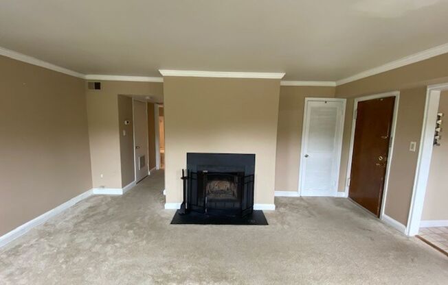 Sunny, spacious 1BR/1BA Condo in Arlington's Precious Palisades Condos w/Parking
