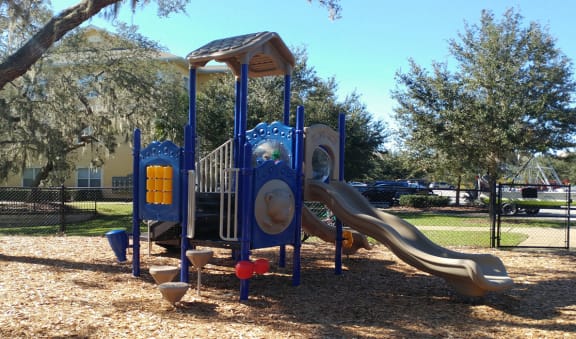Fun playground with two slides at The Columns at Bear Creek, FL 34654