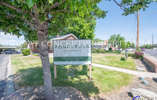 2 beds, 1 bath, 880 sqft, $1,249, Unit 17