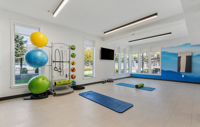 a workout room with yoga mats and a colorful ball and a large window
