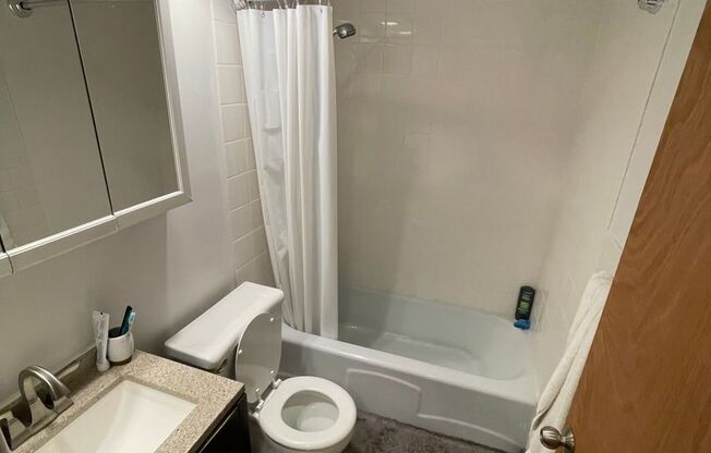 Studio, 1 bath, $1,495, Unit 261