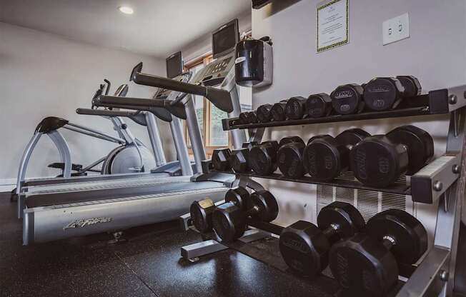 A gym with a treadmill, dumbbells and a certificate on the wall.
