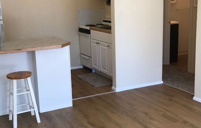 1 bed, 1 bath, 500 sqft, $1,545, Unit 1