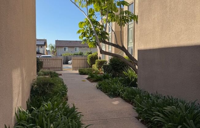 Large 2 bedroom Apartment in Clairemont
