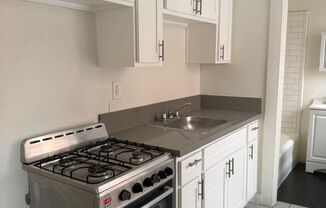 Studio, 1 bath, 300 sqft, $1,750, Unit 310