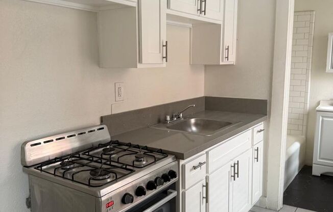 Studio, 1 bath, 300 sqft, $1,750, Unit 310