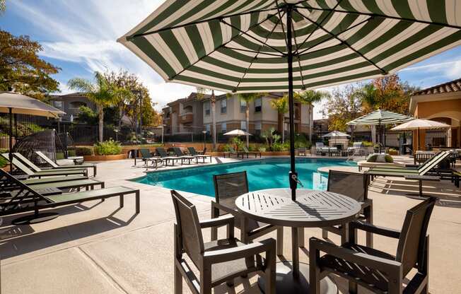 Swimming pool with Lounge Chairs