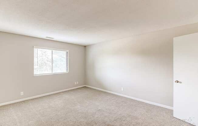 an empty bedroom with white carpet and a window