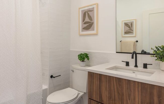 Studio, 1 bath, 406 sqft, $3,025, Unit 312