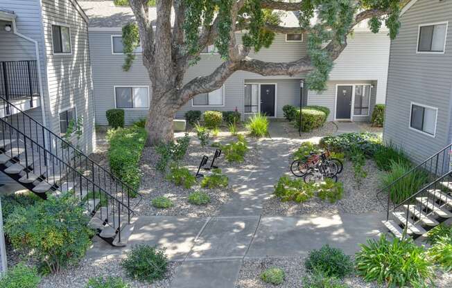 Community courtyard walkway in between buildings with beautifully landscaped grounds and mature trees.  There are bike racks available for storage outdoors. at Silverstone Apartments, Davis, CA, 95618