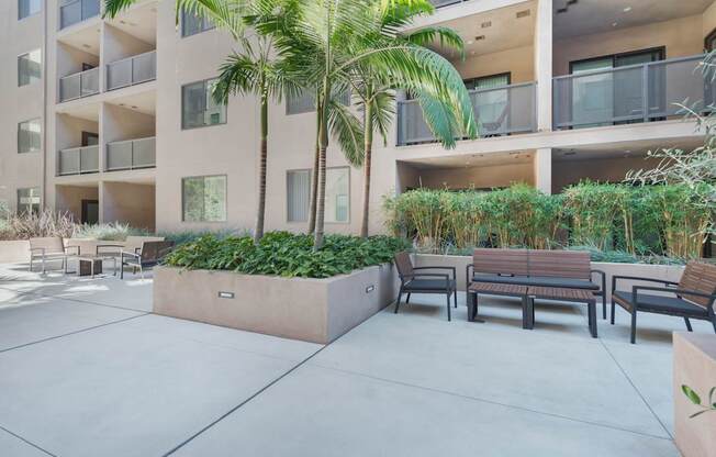 A palm tree stands in a courtyard with benches and plants.