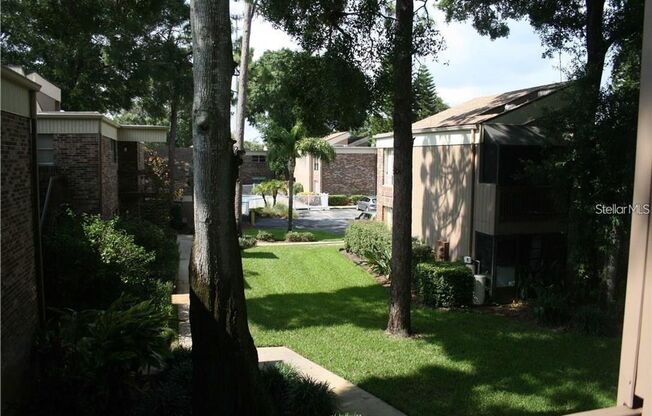 Cute Studio in the heart of Tampa