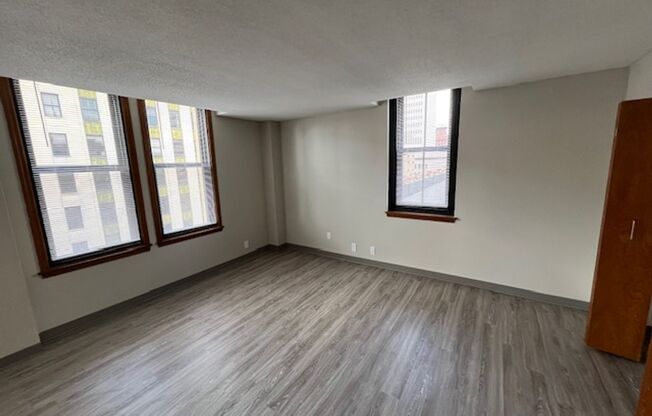Studio, 1 bath, 500 sqft, $700, Unit 501