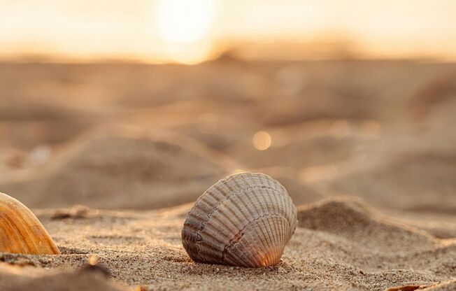 2 beds, 2 baths, 990 sqft, $1,224, Unit 2411