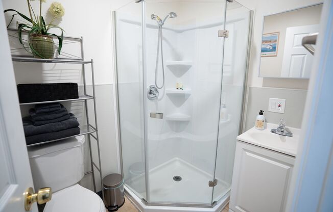 Studio, 1 bath, 300 sqft, $1,350, Unit 28