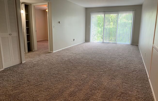 1 bed, 1 bath, 784 sqft, $1,125, Unit 5937305