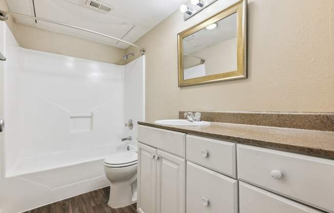 a bathroom with a toilet and a sink and a mirror