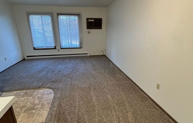 Studio, 1 bath, 360 sqft, $600, Unit 34