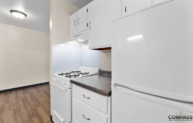 1 bed, 1 bath, 480 sqft, $875, Unit 113