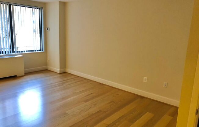 Studio, 1 bath, 440 sqft, $2,500, Unit 0318