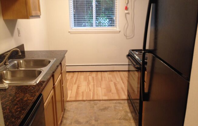 Studio, 1 bath, $950