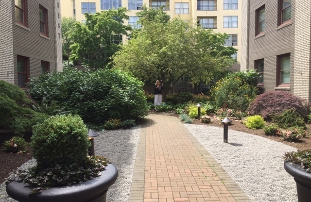 Studio, 1 bath, 280 sqft, $950, Unit 202