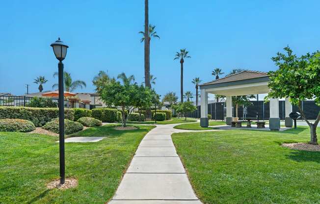 Barton Vineyard Apartments - Paved pathway